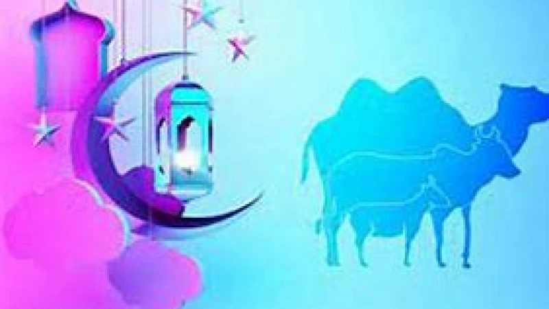 কোরবানি ওয়াজিব কাদের উপর