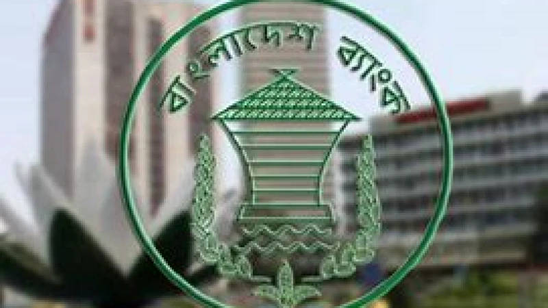 ডেবিট কার্ড নিয়ে আসছে বাংলাদেশ ব্যাংক, ব্যবহার করা যাবে রুপিতে