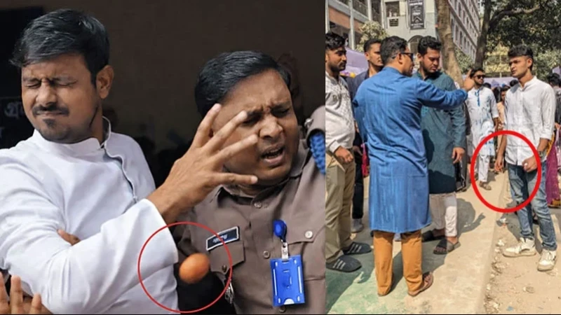 নাসীরুদ্দীন পাটওয়ারীর ওপর ডিম নিক্ষেপ; বিএনপির বিরুদ্ধে অভিযোগ এনসিপির