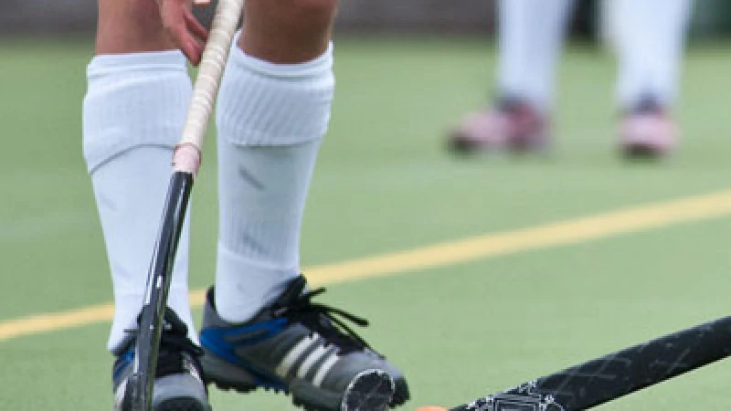 হকির নির্বাচন নিয়ে আদালতে রিট করেন সাজেদ আদেল