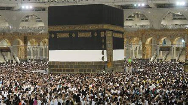 বিশ্বের ৯০টির বেশি দেশ থেকে ১৩০০ জনকে হজ করাচ্ছে সৌদি সরকার