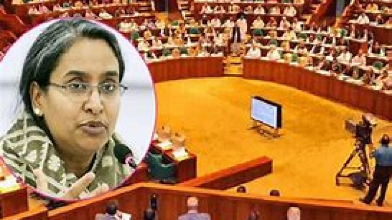 প্রতিটি জেলায় একটি বিশ্ববিদ্যালয় ও বিভাগে মেডিক্যাল বিশ্ববিদ্যালয় হবে: শিক্ষামন্ত্রী