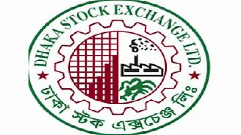 ঢাকার শেয়ার বাজারে বিমা, চামড়া ও খাদ্য খাতের কোম্পানি এগিয়ে মূল্যবৃদ্ধিতে