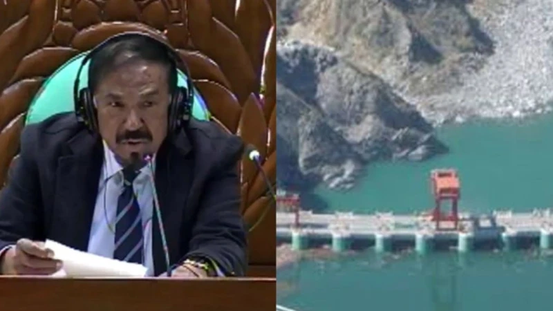 আমরাই সর্বনাশ ডেকে এনেছিলাম