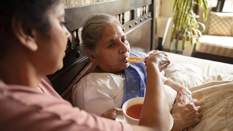 ডেঙ্গু রোগে আক্রান্ত রোগীর খাদ্যাভ্যাসে