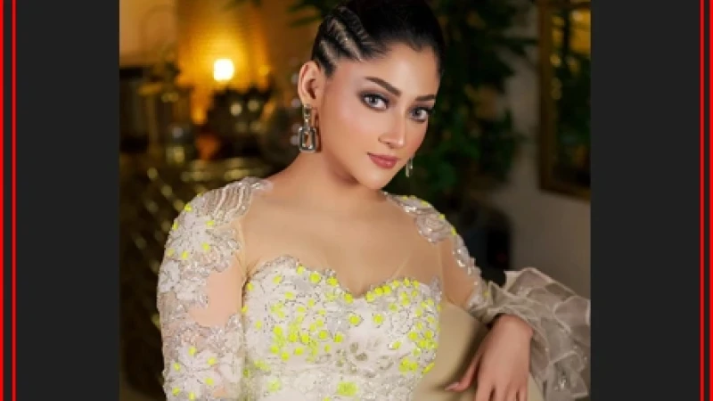প্রেম, কষ্ট ও স্বপ্নের গল্পে আসছে ‘নাকফুলের কাব্য’: পূজা চেরি