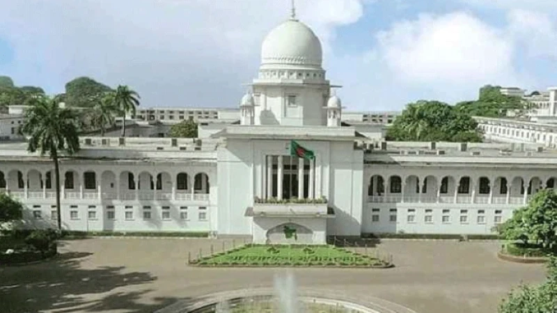 অন্তর্বর্তী সরকারের সার্বিক কাজ অনুসন্ধানে কমিশন চেয়ে রিট