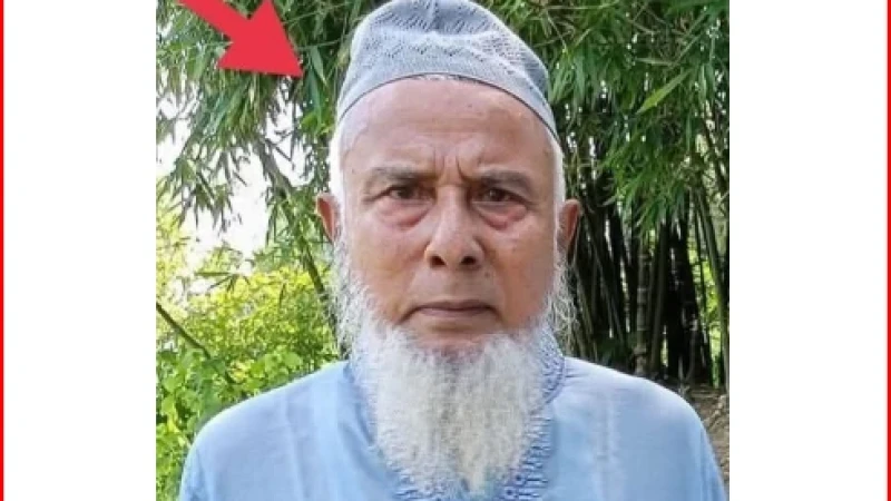 যমুনা টিভির সাংবাদিক জিল্লুর রহমান পলাশের পিতা আর নেই