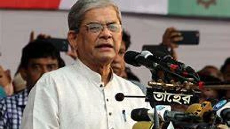 হিরো আলমের ওপর হামলা করা নিয়ে যা বললেন মির্জা ফখরুল