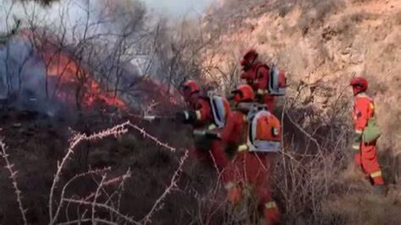 গ্রিসে ভয়াবহ দাবানল জ্বলছে, আগুন নেভাতে ১৫০টি দমকল