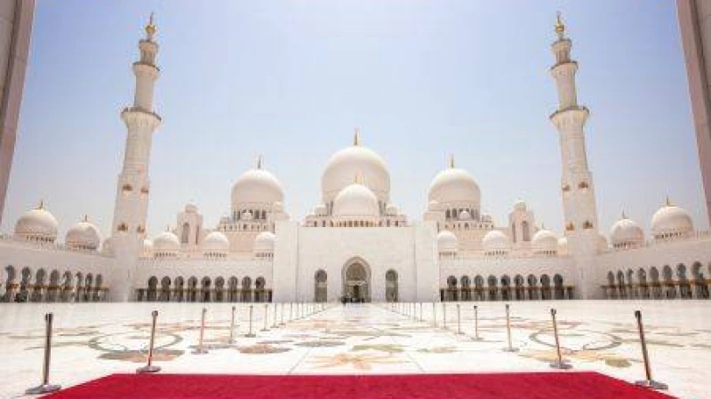 সুলায়মান (আ.) বিচারকার্যে যেমন ছিলেন