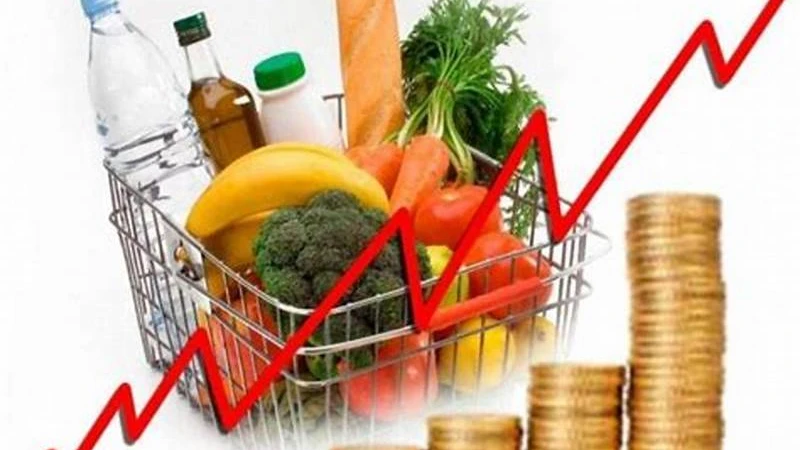 ভারত, শ্রীলঙ্কায় কমলেও বাংলাদেশে বাড়তি খাদ্য মূল্যস্ফীতি