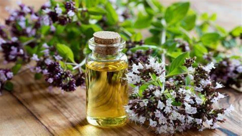 এসেনশিয়াল অয়েলের উপকারীতা