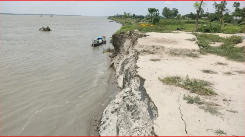 শাহজাদপুরে যমুনার ভয়াবহ ভাঙন, নদীগর্ভে দুই হাজার ঘরবাড়ি ও শত শত হেক্টর কৃষিজমি