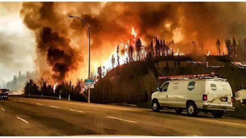 গ্রিসের বিস্তৃত এলাকায় দাবানল ছড়িয়ে পড়ায় ঘরবাড়ি ও হোটেল ছেড়ে পালাচ্ছে মানুষ