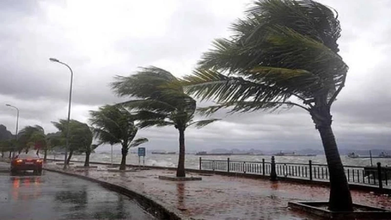 ঢাকাসহ ১৩ জেলায় সন্ধ্যার মধ্যে ঝড়-বৃষ্টির আভাস, নদীবন্দরে ১ নম্বর সতর্কসংকেত