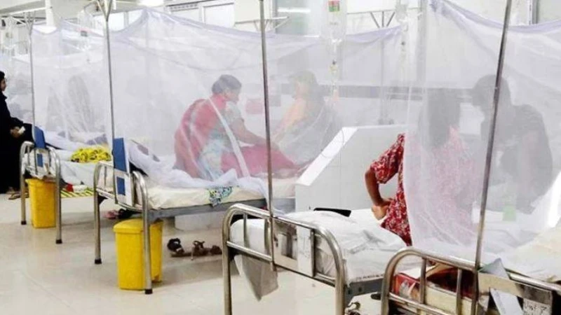 ঢাকার ১১টি এলাকায় ডেঙ্গু রোগী শনাক্ত হচ্ছে বেশি