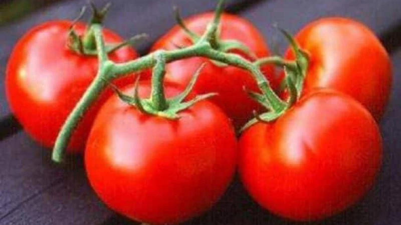 অতিরিক্ত টমেটো খেলে হতে পারে স্বাস্থ্য-ঝুঁকি