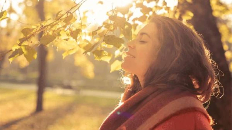 রোদে কখন পোহাবেন এবং কেনো?