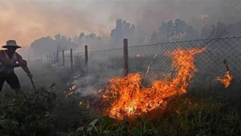 আলজেরিয়ায় দাবানল ছড়িয়ে পড়ে নিহত কমপক্ষে ৩৪ জন
