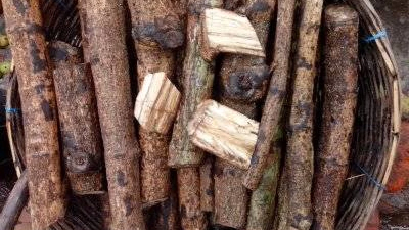 চুইঝালের উপকারিতা