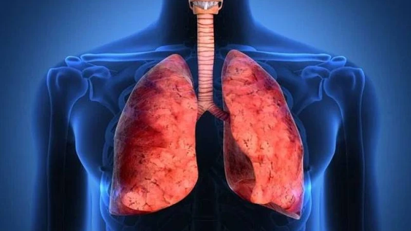 ফুসফুসের স্বাস্থ্য ভালো রাখতে করনীয়