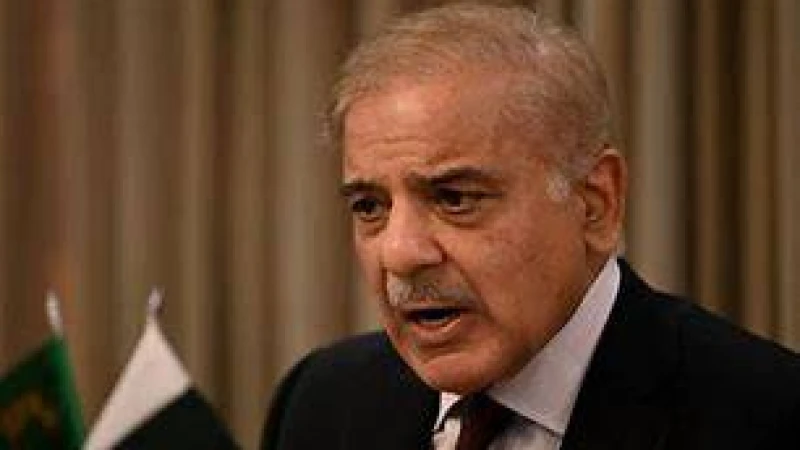 আজ পার্লামেন্ট ভেঙে দিতে আবেদন করবেন শাহবাজ শরিফ