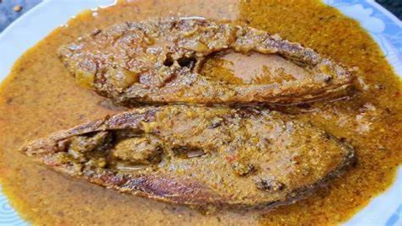 ইলিশ মাছের মালাইকারি রেসিপি