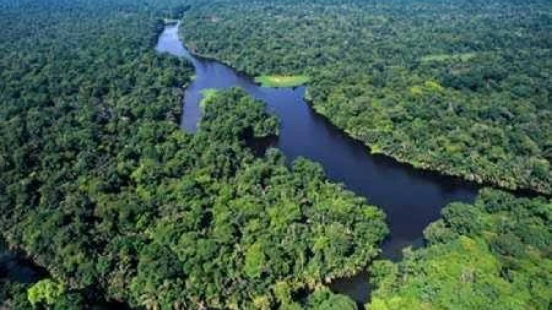 সম্মেলন ৮ দেশের আমাজান বাঁচাতে