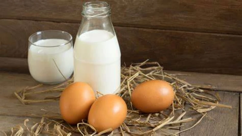 দুধ ও ডিম একসঙ্গে খেলে হতে পারে বদহজম