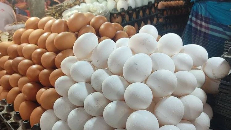 ডিমের বাজার নেই কোন নিয়ন্ত্রণে