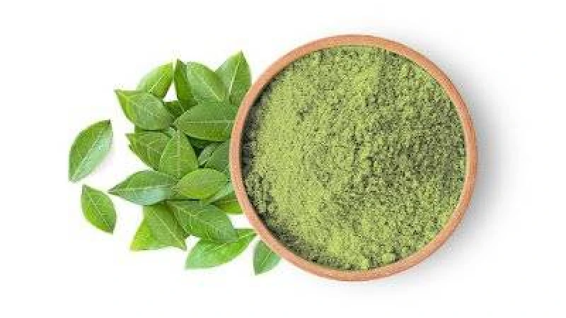 চুলের যত্নে মেহেদির উপকারিতা