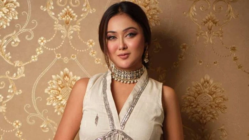 বাড়তে পারে অভিনেত্রী চমকের শাস্তি