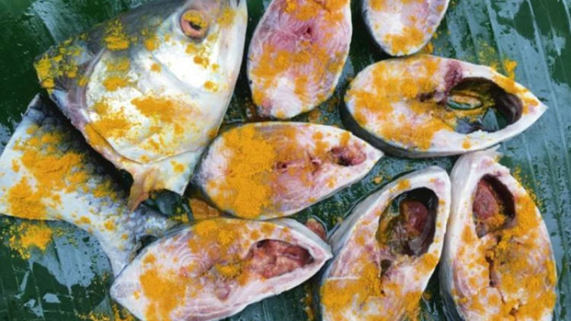 জেনে নিন ইলিশ মাছ সংরক্ষণ করবেন যেভাবে