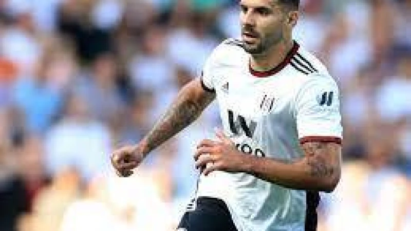 আল হিলালে আরো এক ফুটবলার ছেড়ে প্রিমিয়ার লিগের ক্লাব