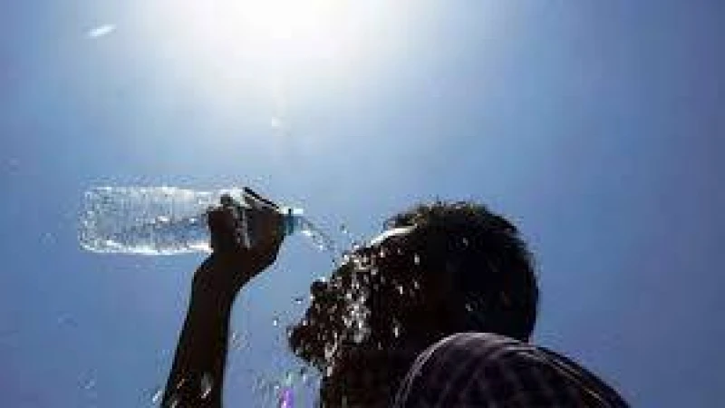 ইলেকট্রোলাইটের ভূমিকা ভ্যাপসা গরমে