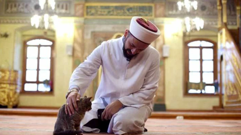 ইসলামের নির্দেশনা পশু-পাখির পরিচর্যা ইবাদত