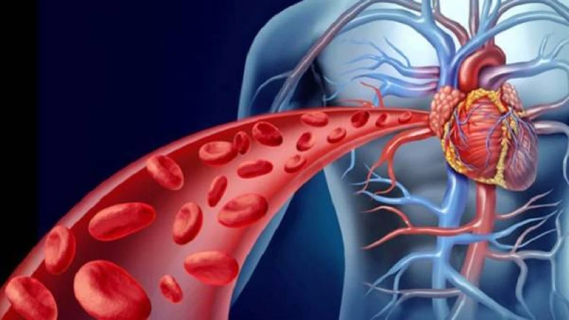 শরীরে কোলেস্টেরলের মাত্রা বেড়েছে বুঝবেন যেভাবে