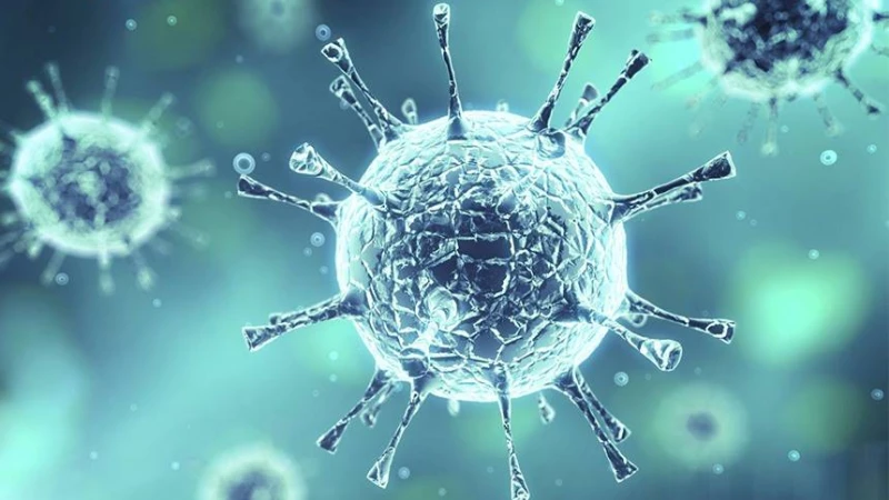 বিশ্বে করোনা সংক্রমণ বেড়েছে ৬৩ শতাংশ: বিশ্ব স্বাস্থ্য সংস্থা