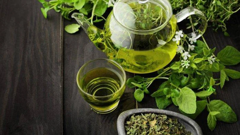 ফিট থাকতে গ্রিন টির উপকারিতা