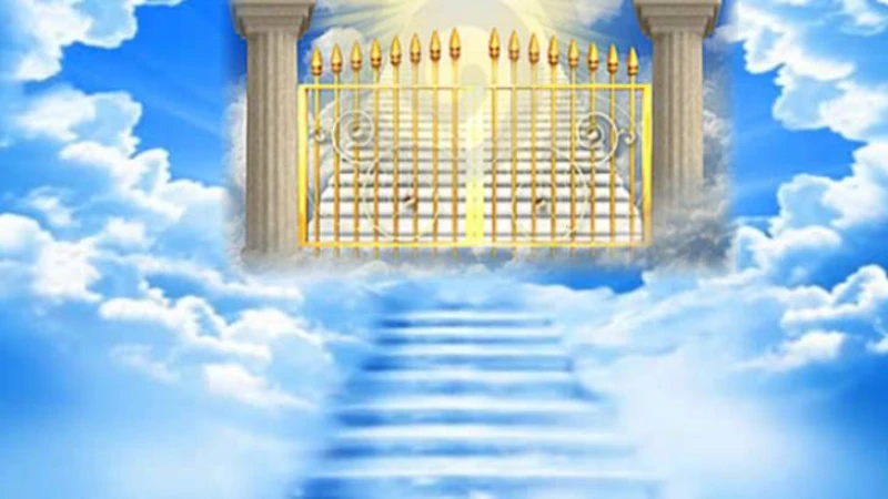 জান্নাতে কি জিনরা যাবে