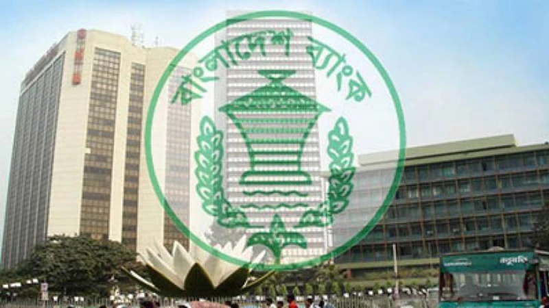 ব্যাংক ও আর্থিক প্রতিষ্ঠানগুলোর ঋণের প্রায় ১৪ শতাংশই টেকসই খাতে