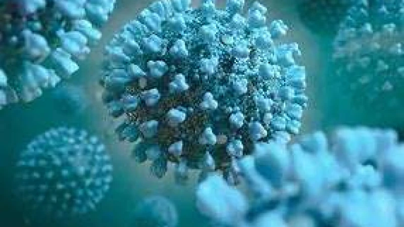 ১৯ শিশুর মৃত্যু পশ্চিমবঙ্গে অ্যাডিনো ভাইরাসের থাবা