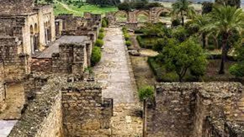 যে গণিতবিদ দাসী থেকে রাজ উপদেষ্টা হন