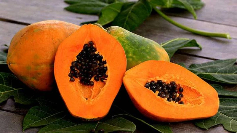 প্রতিদিন পাকা পেঁপে খাওয়ার উপকারিতা