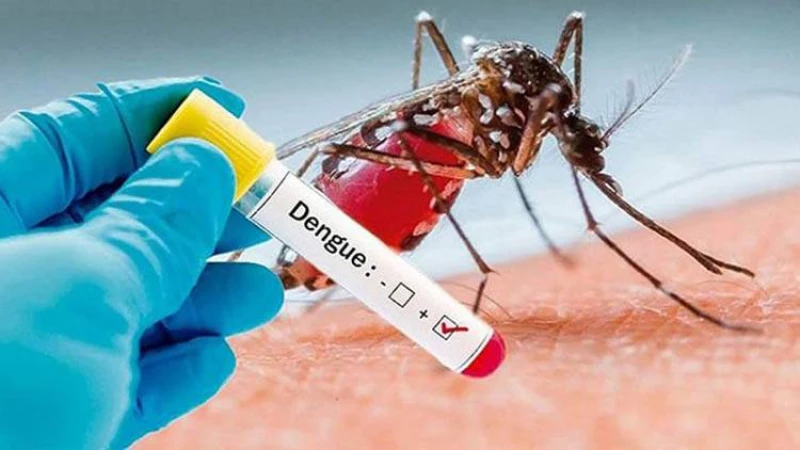চলতি আগস্ট মাসে ডেঙ্গুতে মৃত্যু ৩০০ ছাড়িয়ে