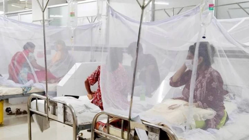 দেশে ডেঙ্গুতে আক্রান্ত হয়ে আরও ১৩ জনের মৃত্যু