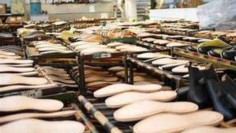 বাংলাদেশি ওবায়দুলের জুতা ইউরোপে বিয়ের অনুষ্ঠানে