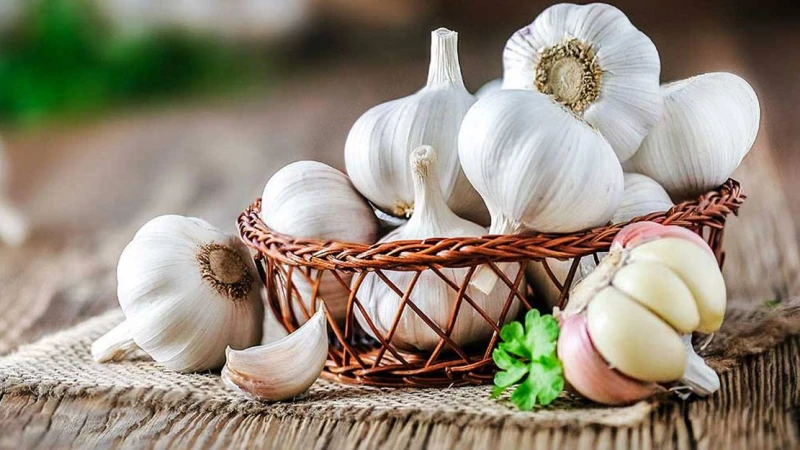 রসুন খেলে কি কি উপকার মিলবে?
