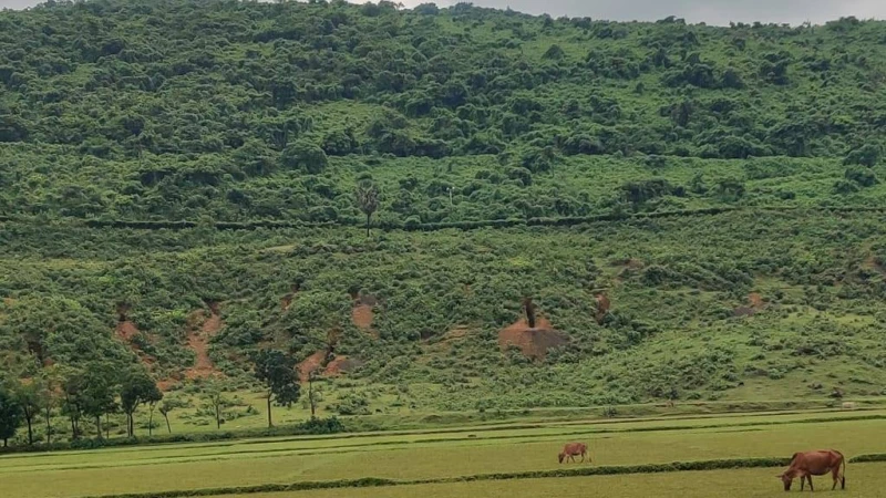 চোরা চালানিদের  স্বর্গরাজ্য তাহিরপুরের  লাউড়ের গড় - টেকেরঘাট-মহিষখলা  সীমান্ত